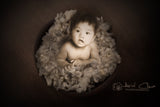 Newborn | Children  Studio Portraiture
