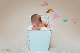 Newborn | Children  Studio Portraiture
