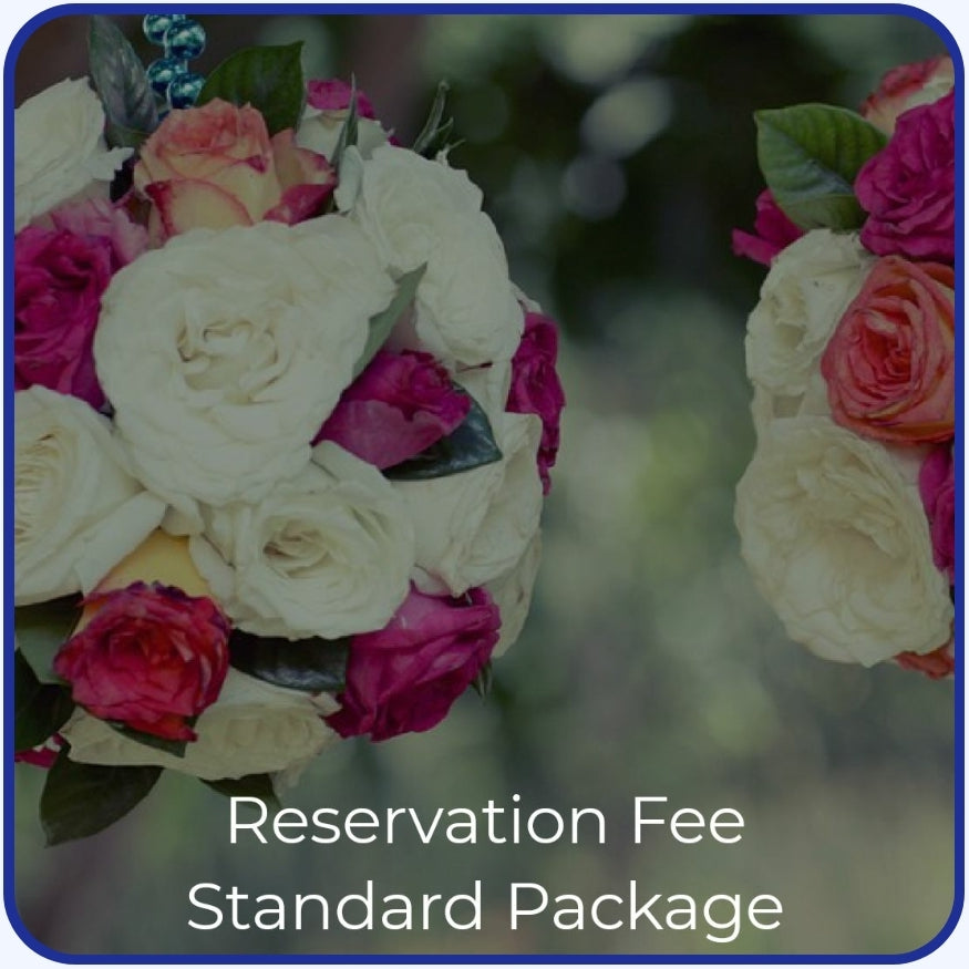 Standard  / Prime Elegance | 10X10 Wedding  Album | Video Art Film Package