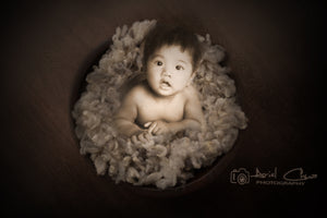 Newborn | Children  Studio Portraiture
